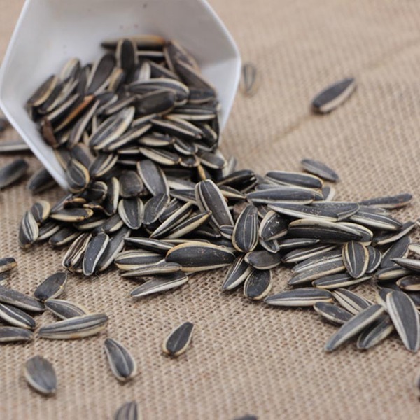 焦糖瓜子 新葵花瓜子五香/奶油/原味 村官瓜子500g包郵 香瓜子-369返利網(wǎng)